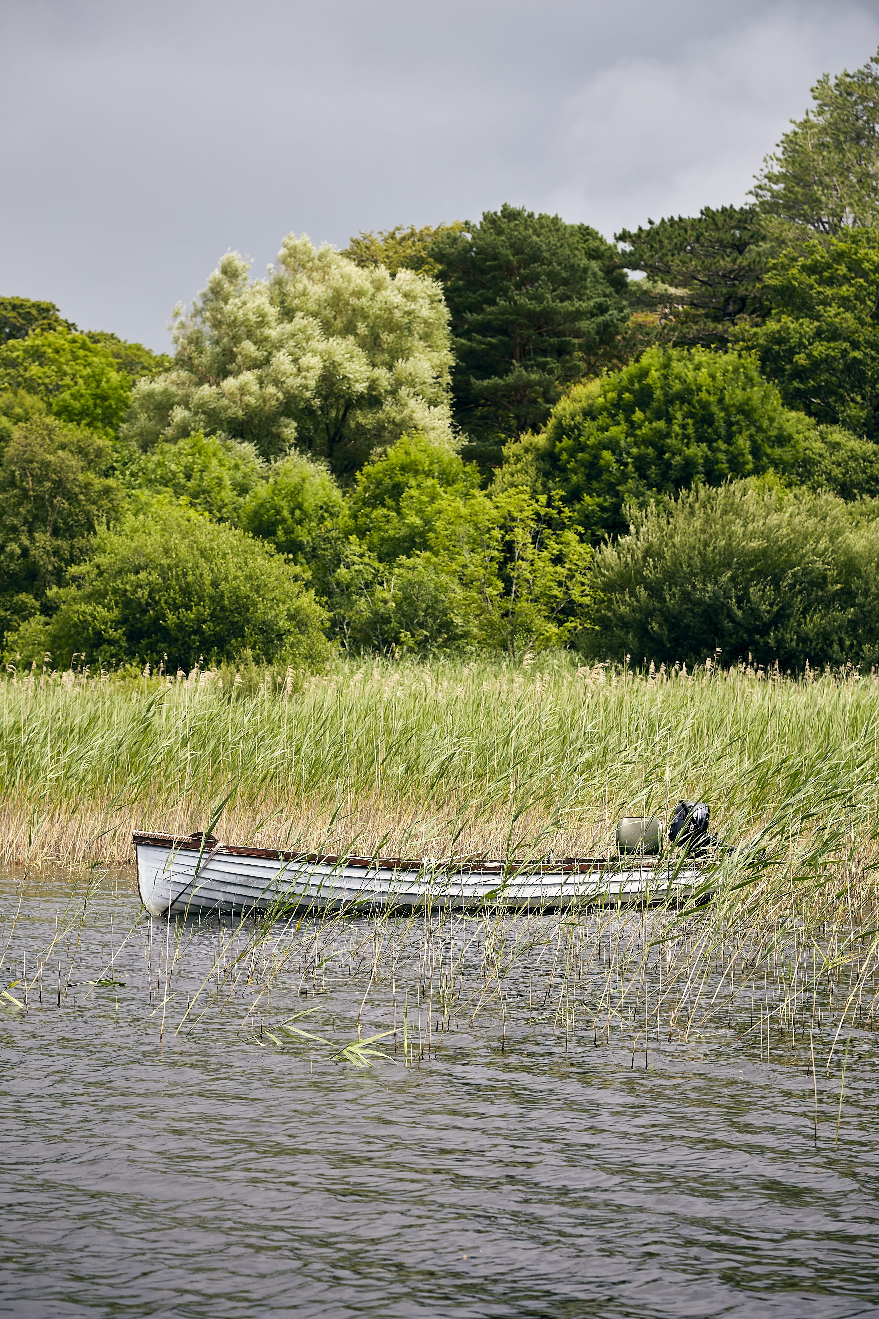 beautiful-scenery-parked-boat-killarney-national-park (1).jpg